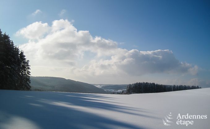 Ferienhaus Saint-Vith 30 Pers. Ardennen Wellness