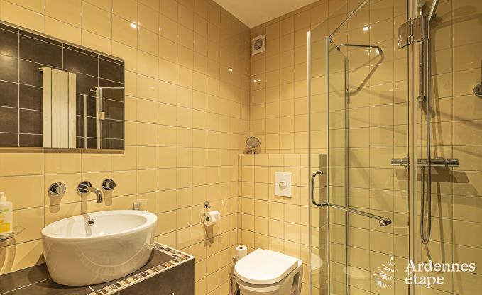 Ferienhaus Saint-Vith 30 Pers. Ardennen Wellness