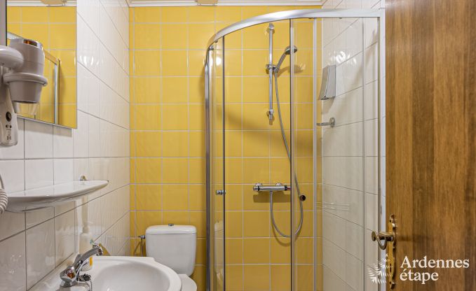 Ferienhaus Saint-Vith 15 Pers. Ardennen Wellness