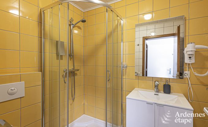 Ferienhaus Saint-Vith 15 Pers. Ardennen Wellness