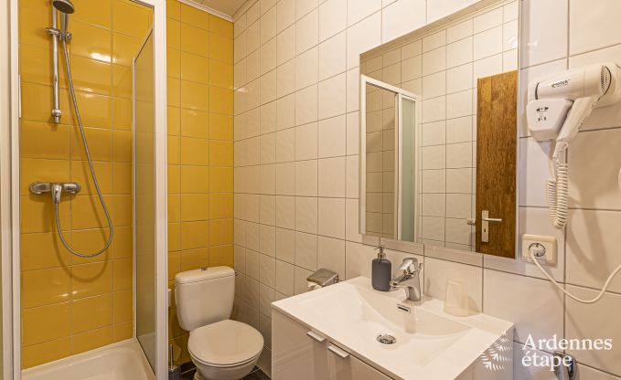 Ferienhaus Saint-Vith 15 Pers. Ardennen Wellness