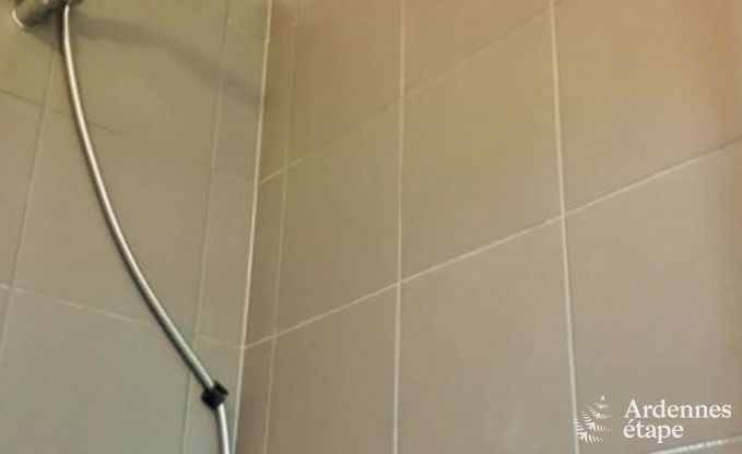 Ferienhaus in Sainte-Ode: Oase der Ruhe f�r 8 Personen mit Terrasse und Garten in den Ardennen