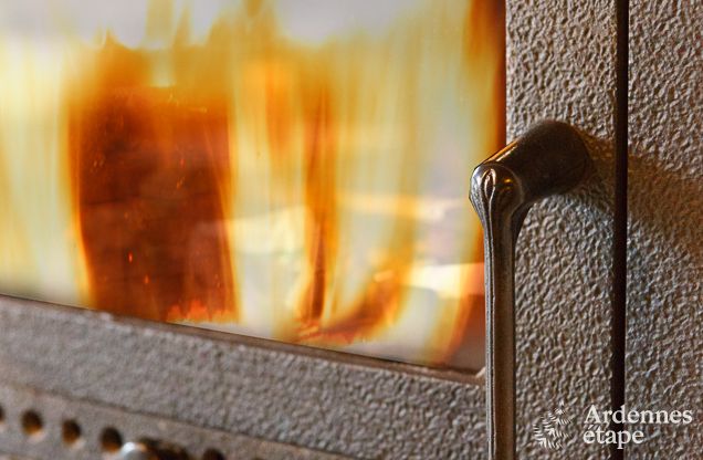 Ferienhaus in Sainte-Ode: Oase der Ruhe f�r 8 Personen mit Terrasse und Garten in den Ardennen