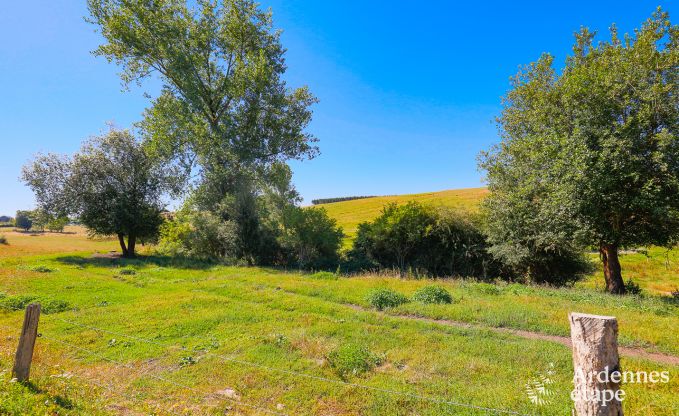 Ferienhaus Sainte-Ode 9 Pers. Ardennen Wellness