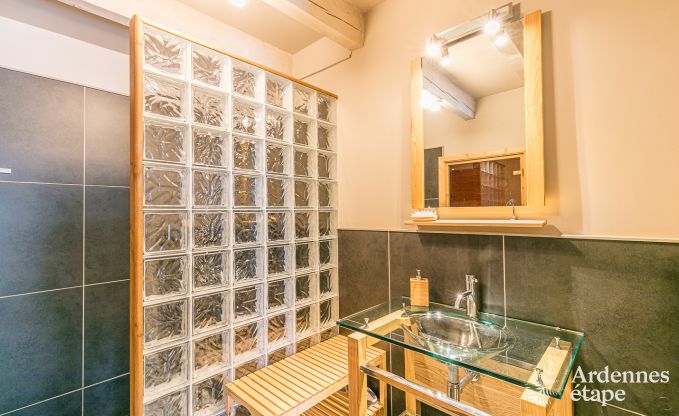 Ferienhaus Sainte-Ode 9 Pers. Ardennen Wellness