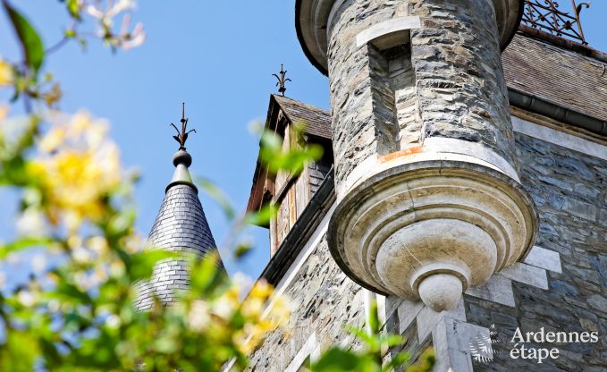 Ferienhaus Sainte-Ode 6/7 Pers. Ardennen Schwimmbad
