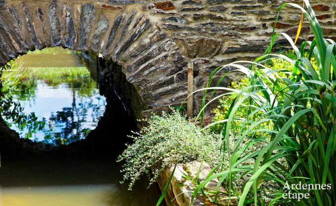 Ferienhaus Sainte-Ode 6/7 Pers. Ardennen Schwimmbad