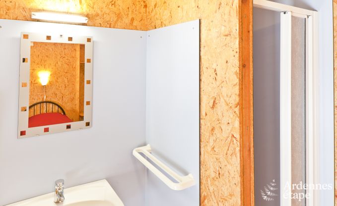 Ferienhaus Sainte-Ode 10/12 Pers. Ardennen Schwimmbad