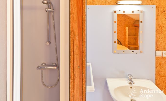 Ferienhaus Sainte-Ode 10/12 Pers. Ardennen Schwimmbad