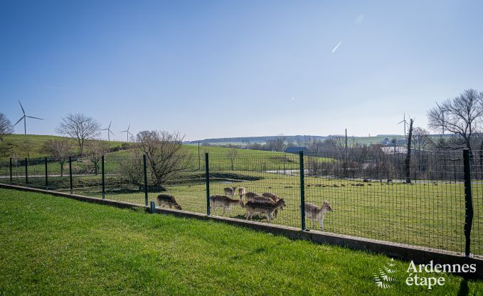 Luxuri�se und hundefreundliche Ferienwohnung mit Pool in Sainte-Ode, Ardennen