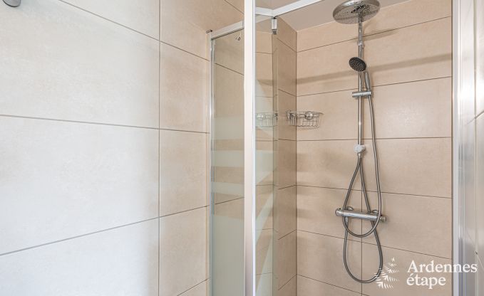 Luxuri�se und hundefreundliche Ferienwohnung mit Pool in Sainte-Ode, Ardennen