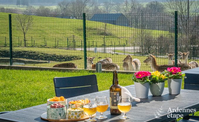 Luxuri�se und hundefreundliche Ferienwohnung mit Pool in Sainte-Ode, Ardennen