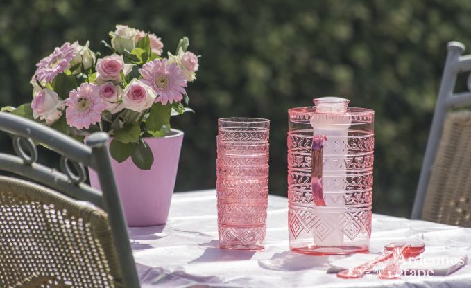 Ferienhaus Sainte-Ode 6 Pers. Ardennen