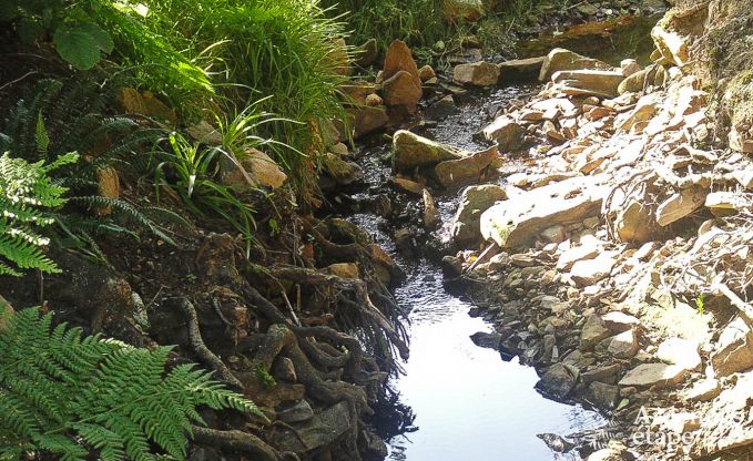 Ferienhaus Sainte-Ode 4/6 Pers. Ardennen Wellness