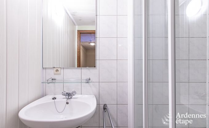 Ferienhaus Sainte-Ode 6 Pers. Ardennen Schwimmbad