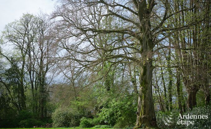 Charmante Ferienunterkunft im Nebengeb�ude eines Schlosses in Sars-la-Bruy�re, Ardennen