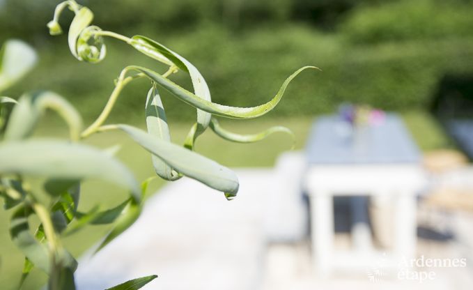 Ferienhaus Sivry-Rance 4 Pers. Ardennen