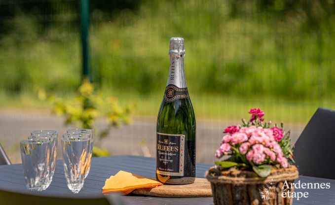Kinderfreundliches Ferienhaus fr 7 in Sivry-Rance, Ardennen