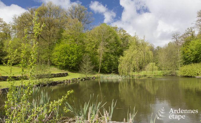 Ferienhaus Sivry-Rance 14 Pers. Ardennen Wellness