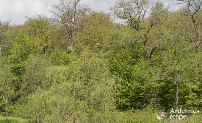 Ferienhaus Sivry-Rance 14 Pers. Ardennen Wellness