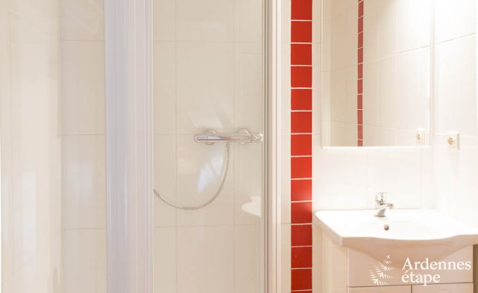 Ferienhaus Sivry-Rance 14 Pers. Ardennen Wellness