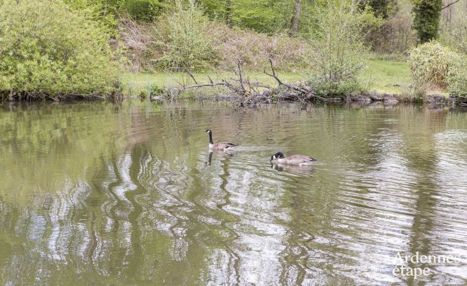 Ferienhaus Sivry-Rance 14 Pers. Ardennen Wellness