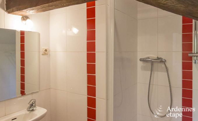 Ferienhaus Sivry-Rance 14 Pers. Ardennen Wellness