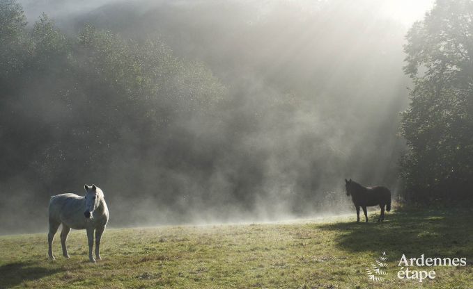 Ferienhaus Sivry 6 Pers. Ardennen