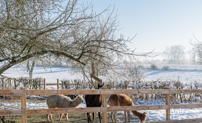 Einzigartiges Schloss in Soiron: luxuriser Aufenthalt fr 14 Personen mit privatem Garten, Spielraum und 5 Schlafzimmern und in der Nhe von Verviers