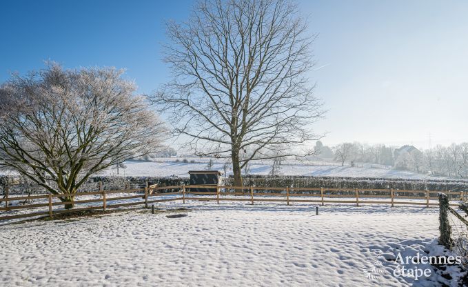 Einzigartiges Schloss in Soiron: luxuriser Aufenthalt fr 14 Personen mit privatem Garten, Spielraum und 5 Schlafzimmern und in der Nhe von Verviers