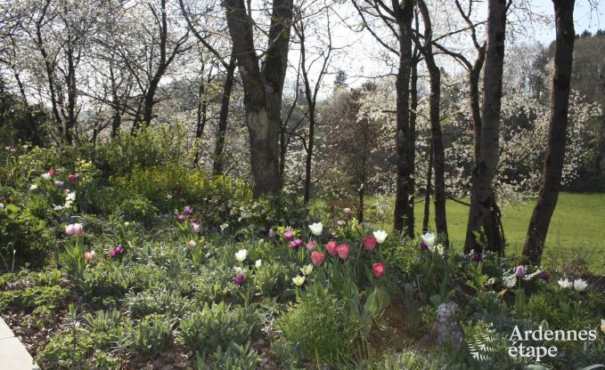 Modernes villa Somme - Leuze 8 Pers. Ardennen Schwimmbad