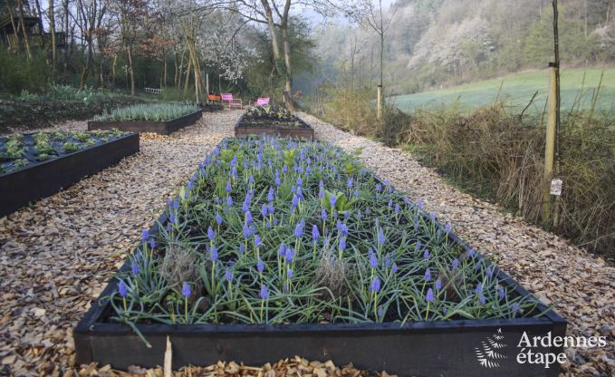 Modernes villa Somme - Leuze 8 Pers. Ardennen Schwimmbad