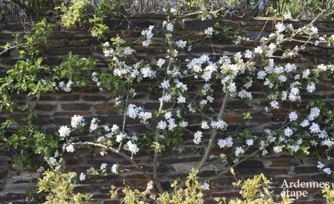 Modernes villa Somme - Leuze 8 Pers. Ardennen Schwimmbad