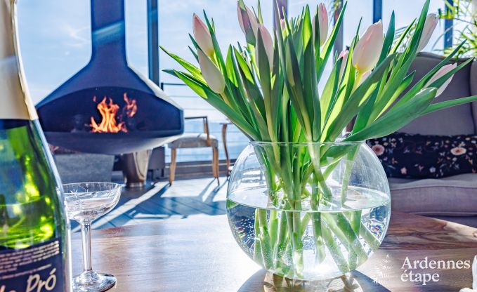 Modernes villa Somme - Leuze 8 Pers. Ardennen Schwimmbad