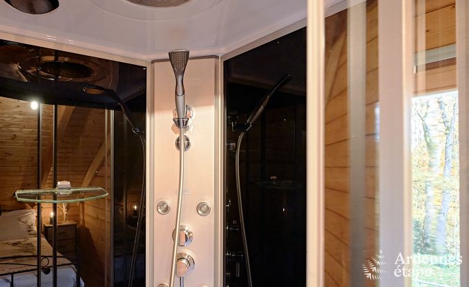 Gerumiges Chalet in Somme-Leuze fr 8 Personen mit 4 Schlafzimmern, 3 Badezimmern, Holzpelletofen und Privatgarten