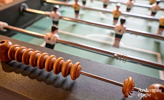 Gerumiges Chalet in Somme-Leuze fr 8 Personen mit 4 Schlafzimmern, 3 Badezimmern, Holzpelletofen und Privatgarten