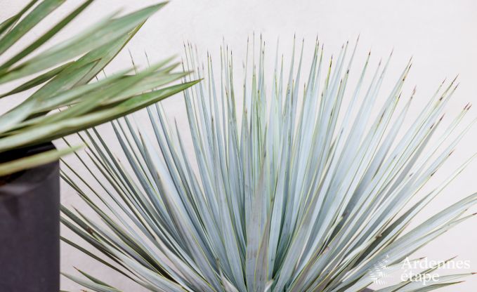 Cottage Somme-Leuze 5 Pers. Ardennen