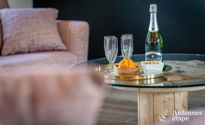 Ferienhaus mit modernen Annehmlichkeiten in Somme-Leuze, Ardennen