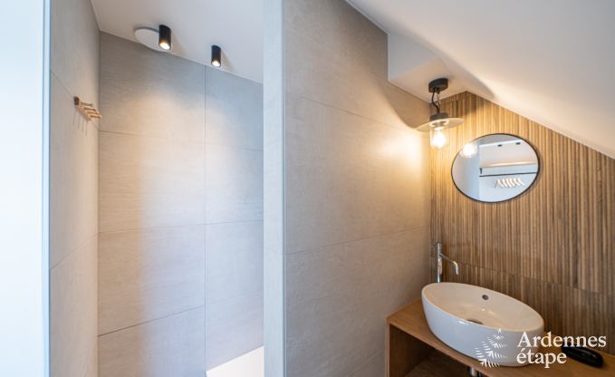Ferienhaus mit modernen Annehmlichkeiten in Somme-Leuze, Ardennen