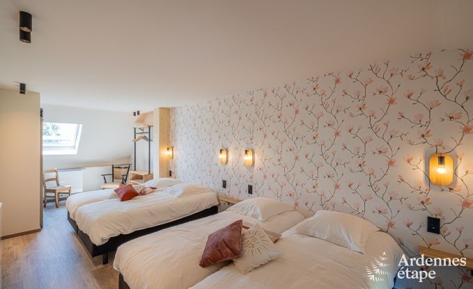 Ferienhaus mit modernen Annehmlichkeiten in Somme-Leuze, Ardennen