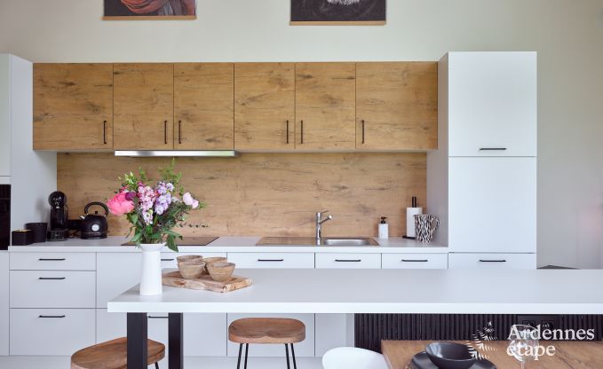 Komfortables und luxuri�ses Neubau-Ferienhaus in Somme-Leuze, Ardennen