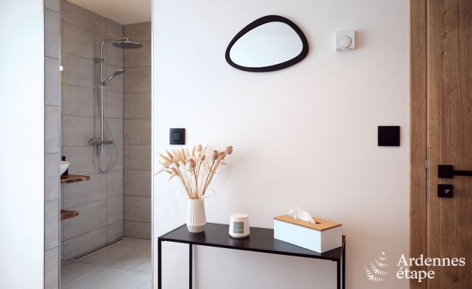 Komfortables und luxuri�ses Neubau-Ferienhaus in Somme-Leuze, Ardennen