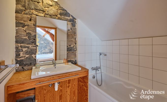 Ferienhaus Somme-Leuze 22 Pers. Ardennen Wellness