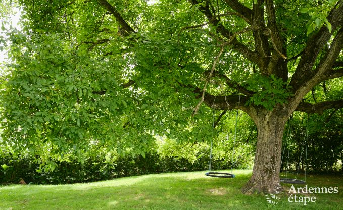 Ferienhaus Somme-Leuze 22 Pers. Ardennen Wellness