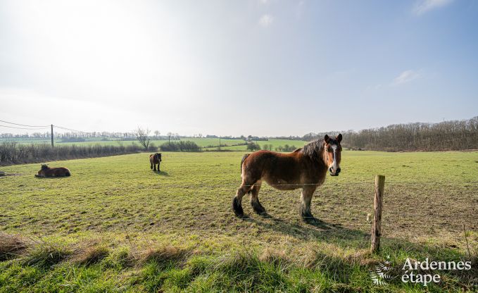 Gerumiges und komfortables Ferienhaus in Somme-Leuze, in der Nhe von Durbuy