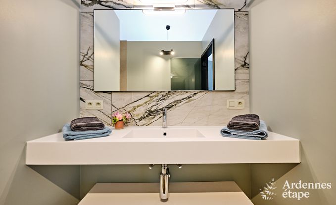 Ultramoderne Villa in Somme-Leuze fr 12 Personen mit Hallenbad, Sauna und Privatgarten