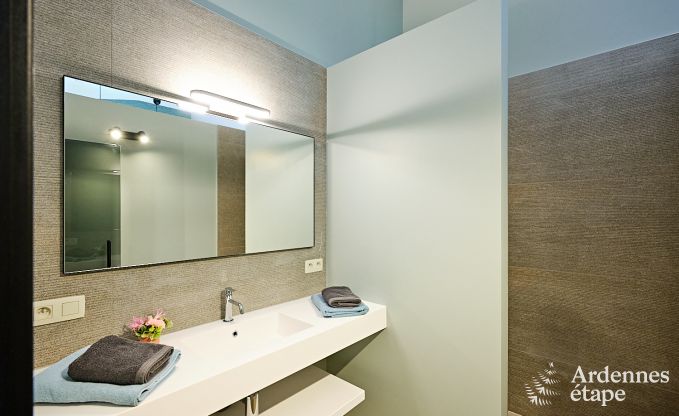 Ultramoderne Villa in Somme-Leuze fr 12 Personen mit Hallenbad, Sauna und Privatgarten