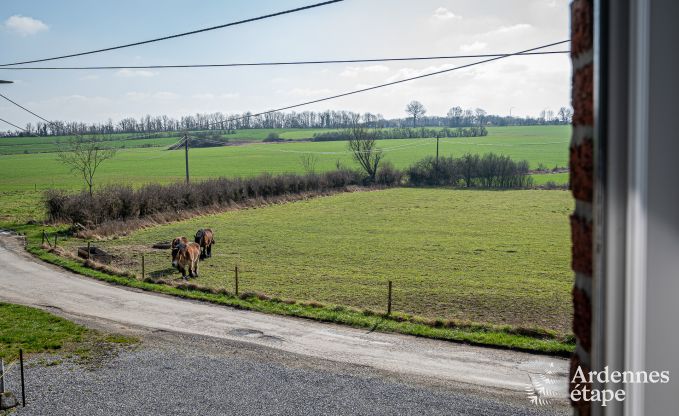 Komfortables Ferienhaus in Somme-Leuze, in der N�he von Durbuy