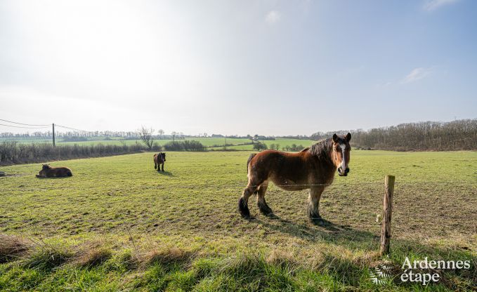 Komfortables Ferienhaus in Somme-Leuze, in der N�he von Durbuy
