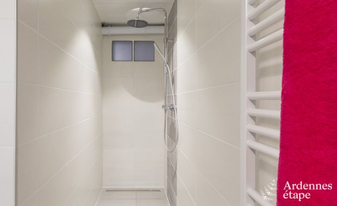 Ferienhaus Somme-Leuze 6/7 Pers. Ardennen